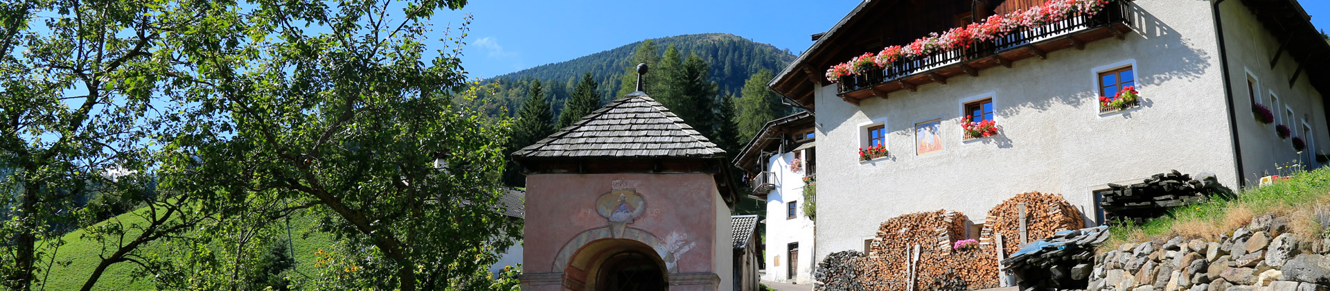 Bauernhof - Proveis in Südtirol